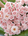 GENTLE SPRAY ROSE BOUQUET