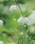 TOKYO KODO incense - LOVE CARROT
