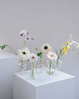 MINI VASE -CLEAR-透明迷你小花樽