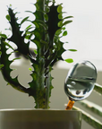 Two Tone Water Dispenser // 雙色自動澆水器