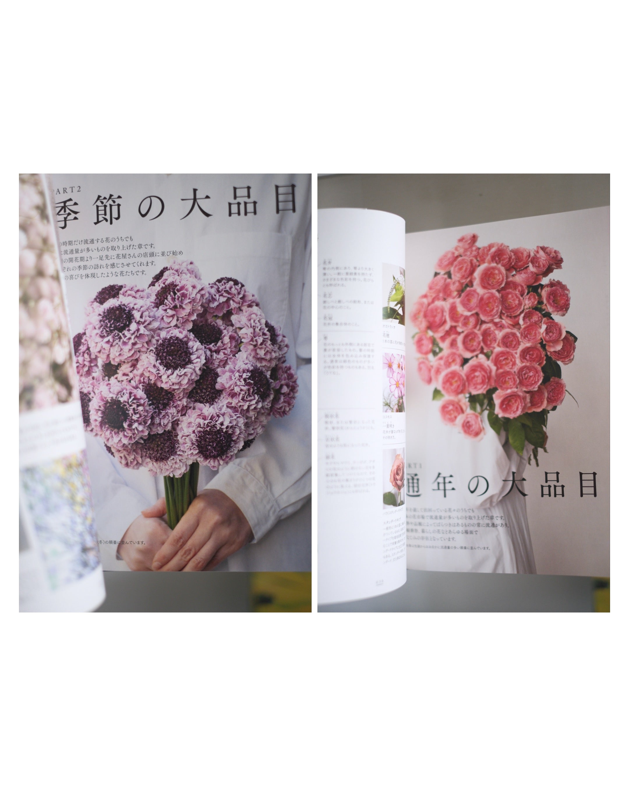 東京植物図譜の花図鑑1000 – sense 131