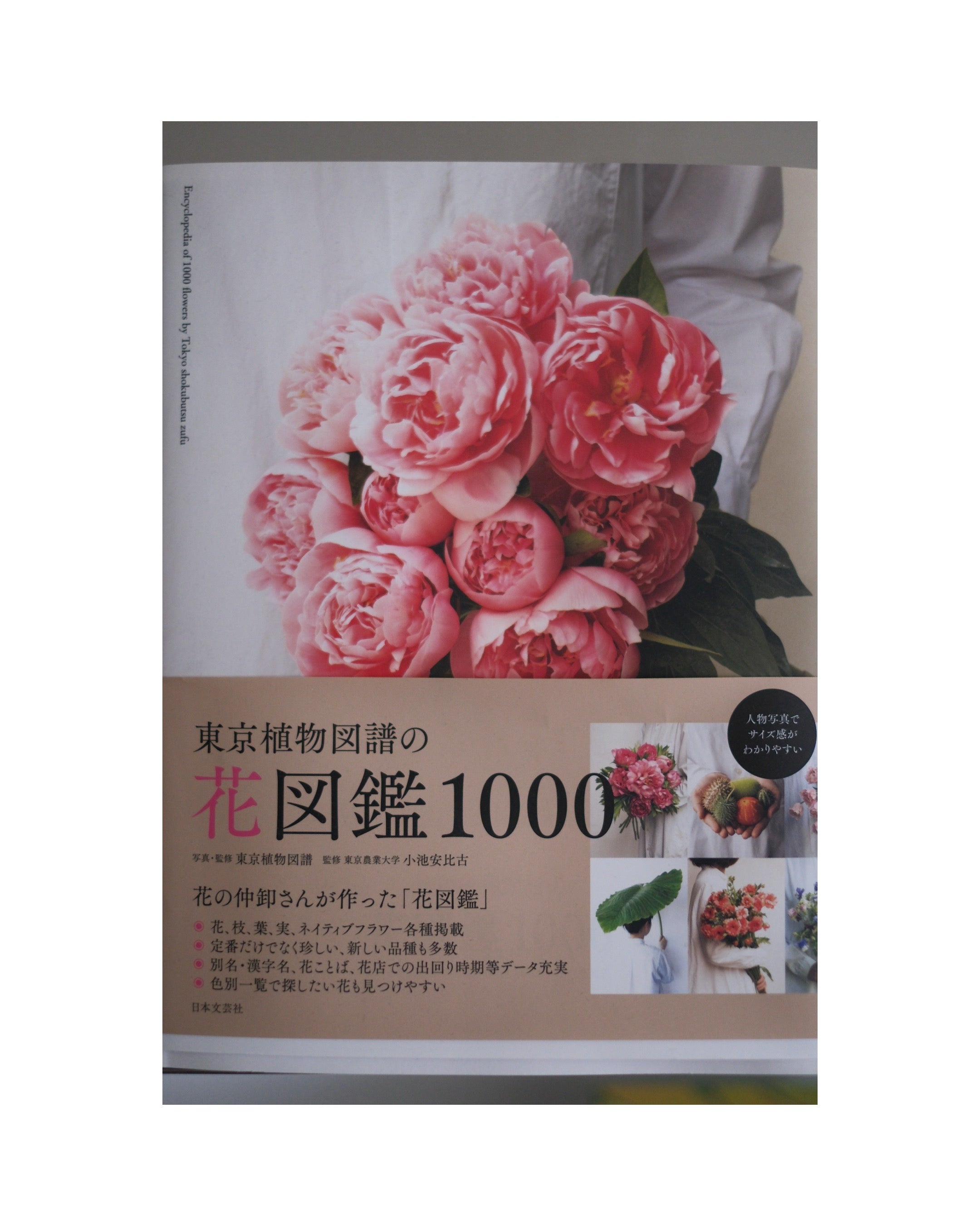 東京植物図譜の花図鑑1000 – sense 131