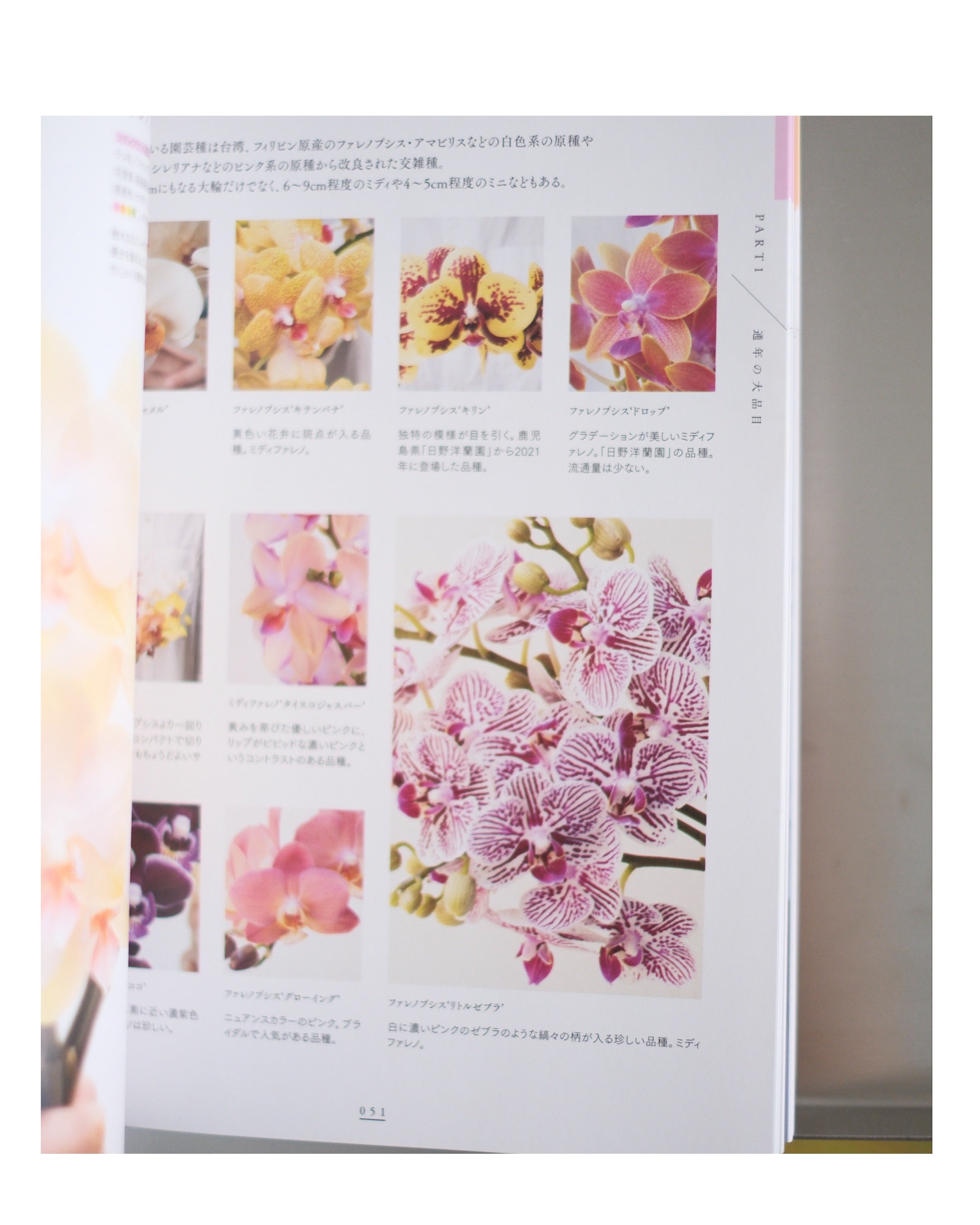 東京植物図譜の花図鑑1000 – sense 131
