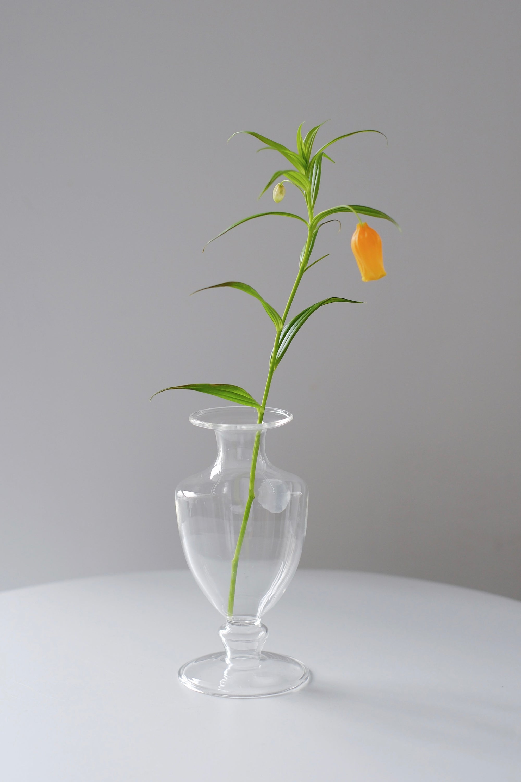 MINI VASE -CLEAR-透明迷你小花樽