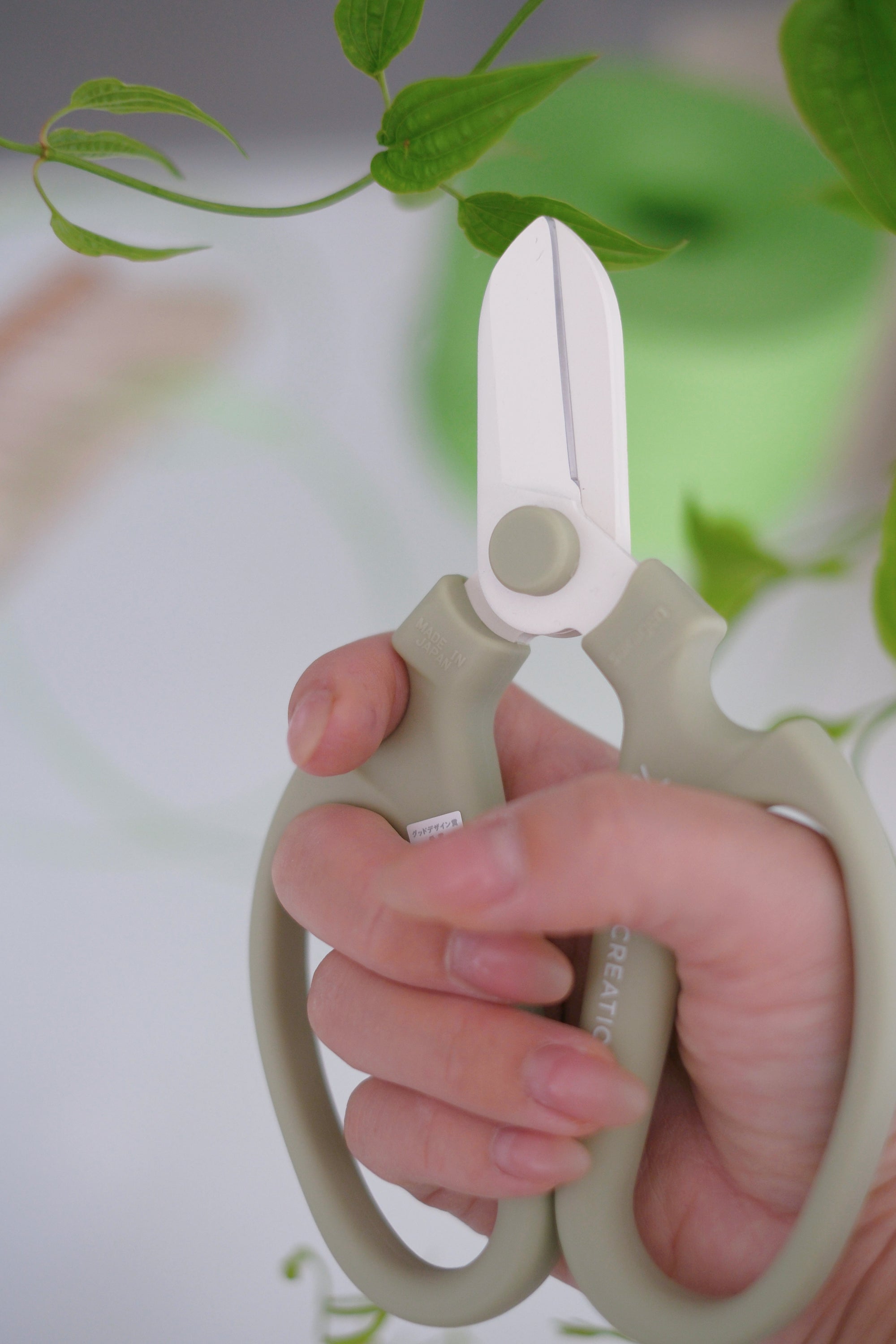 日本sakagen花剪-2025 NEW COLOR♡