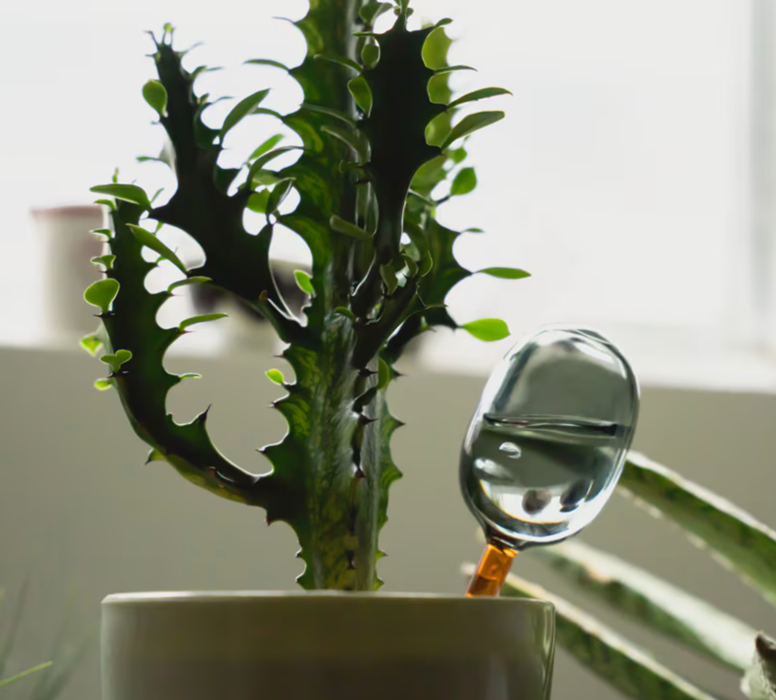 Two Tone Water Dispenser // 雙色自動澆水器